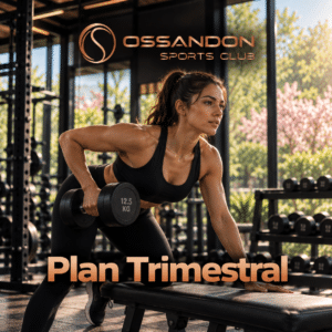 Plan Trimestral - Gimnasio